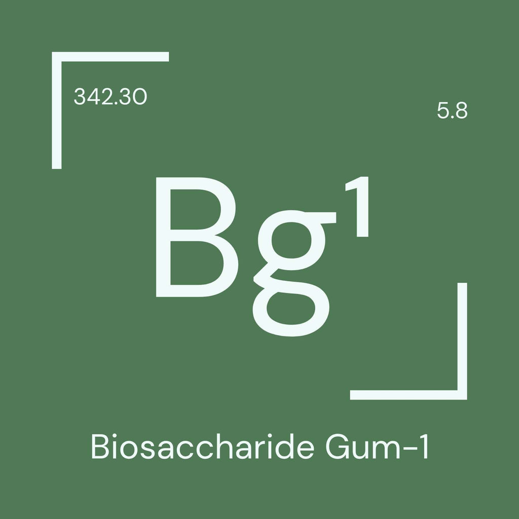 Alyscamps原材料用語集 「Bg1」
