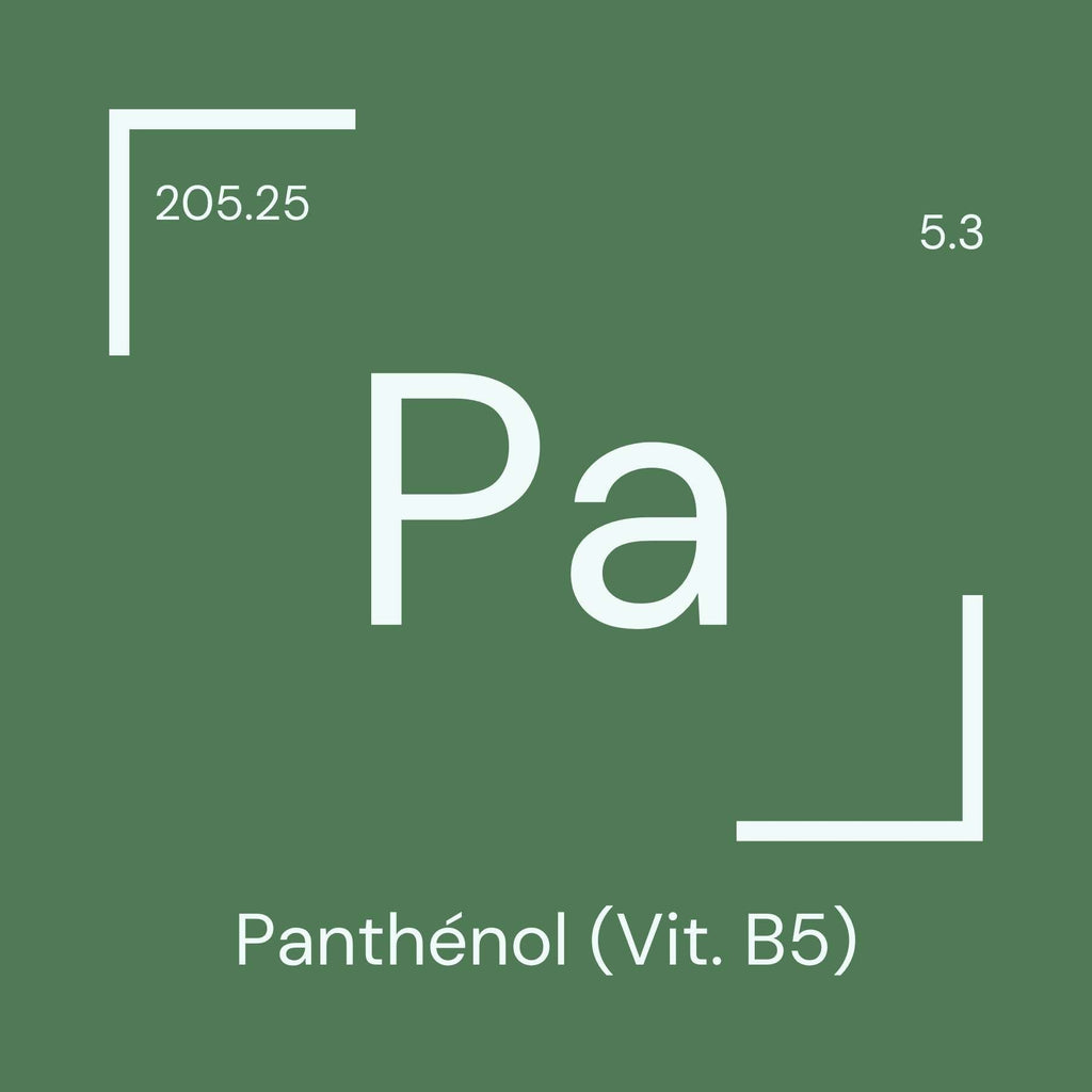 Alyscamps原材料用語集 「Pa」