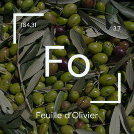 Alyscamps原材料用語集 「Fo」