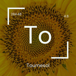 Alyscamps原材料用語集 「To」