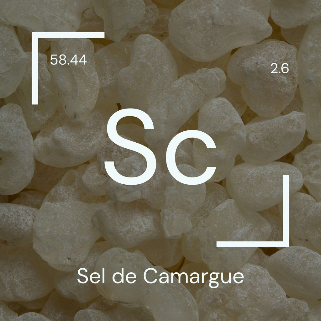 Alyscamps原材料用語集 「Sc」