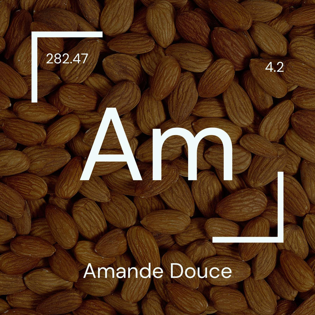 Alyscamps原材料用語集 「Am」