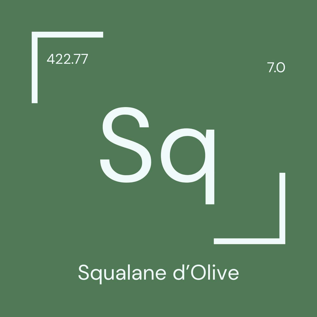 Alyscamps原材料用語集 「Sq」