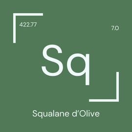 Alyscamps原材料用語集 「Sq」