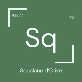 Alyscamps原材料用語集 「Sq」
