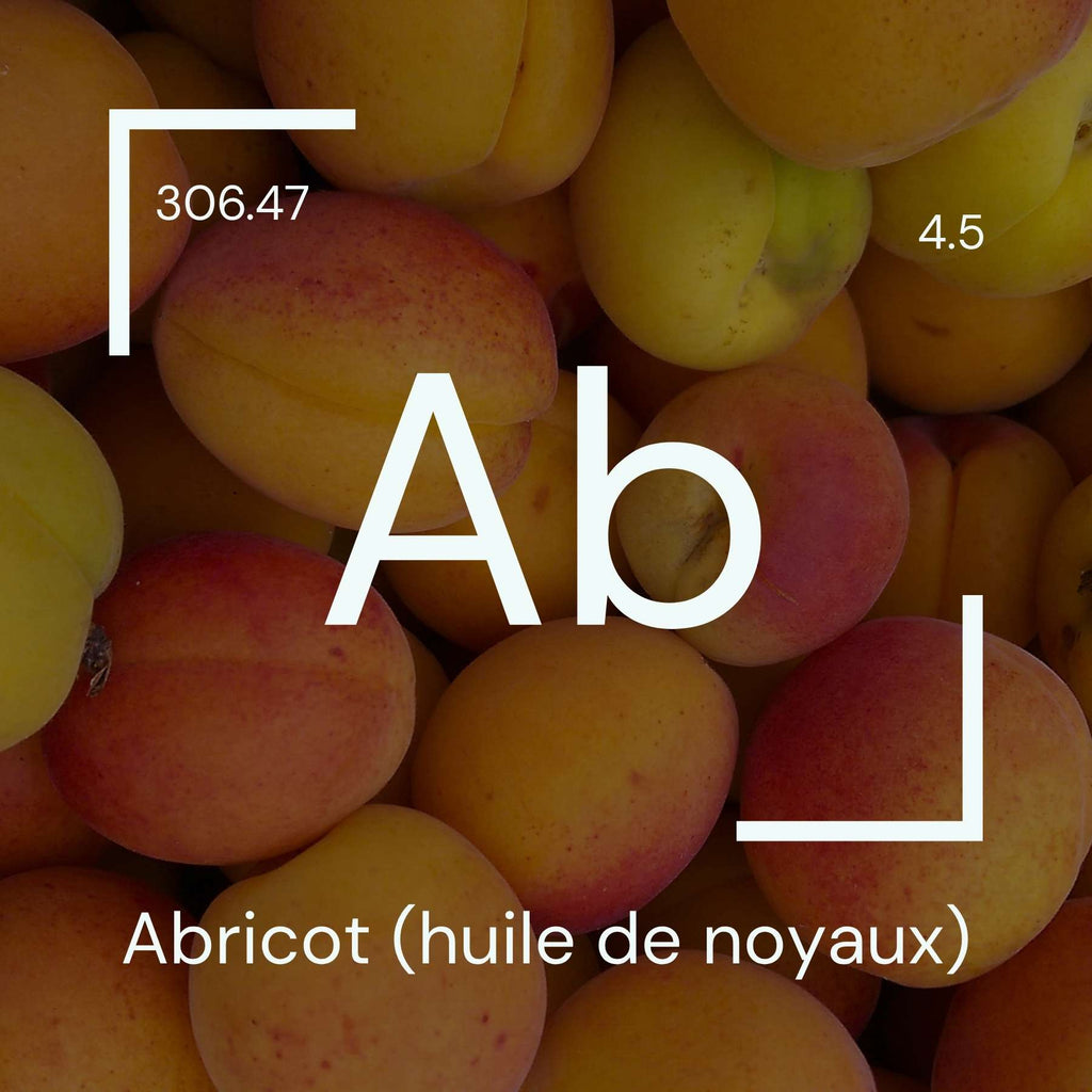 Alyscamps原材料用語集 「Ab」