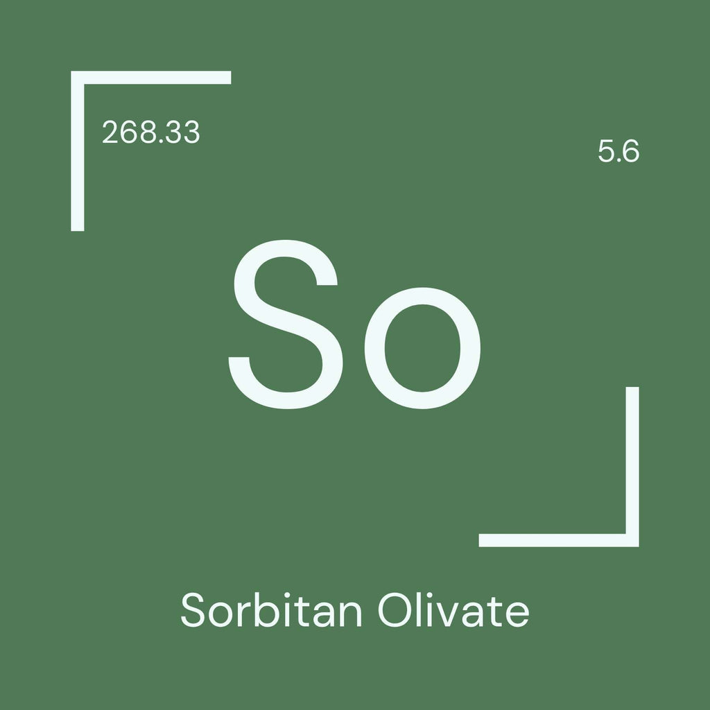 Alyscamps原材料用語集 「So」