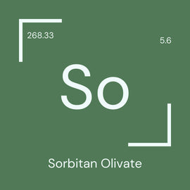 Alyscamps原材料用語集 「So」