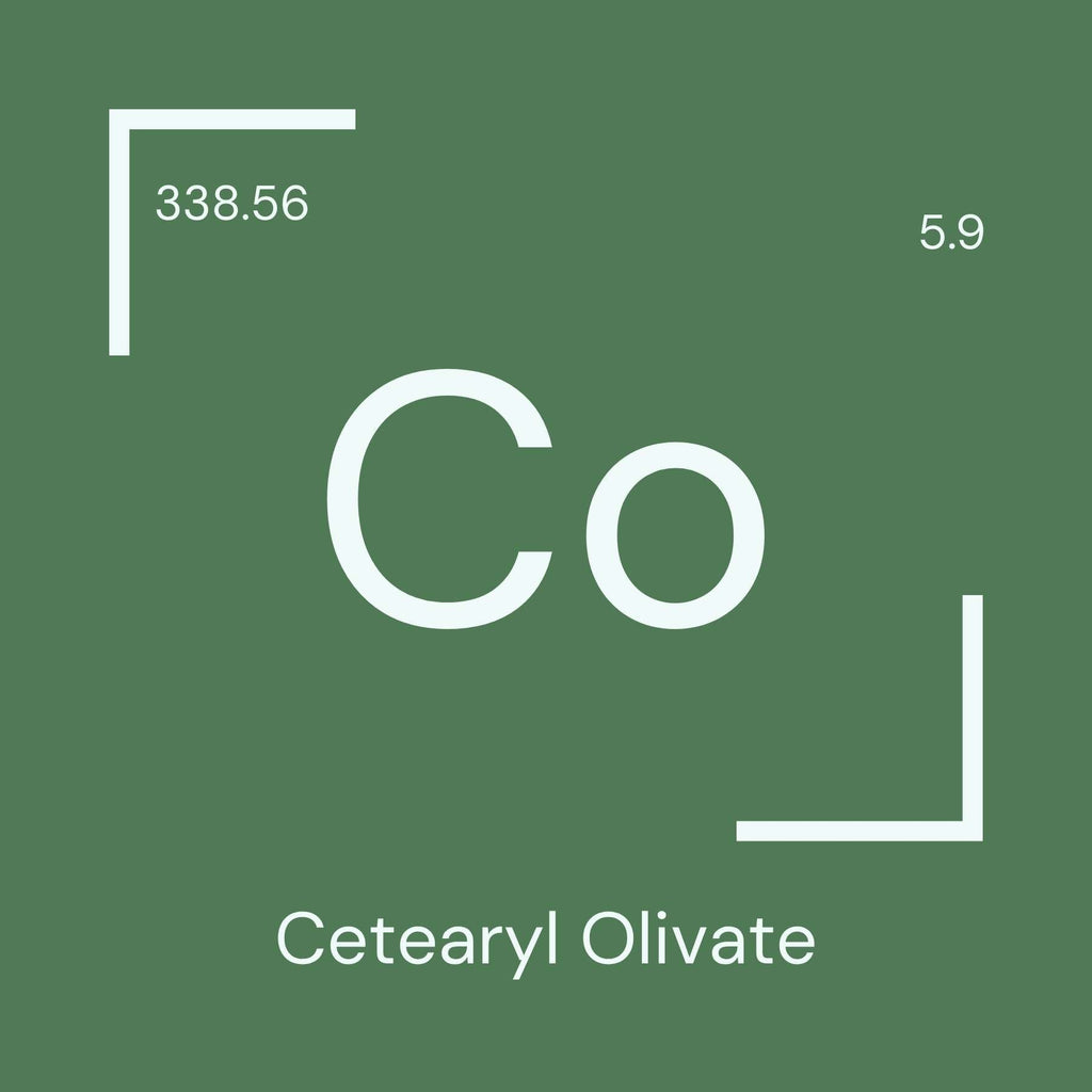 Alyscamps原材料用語集 「Co」