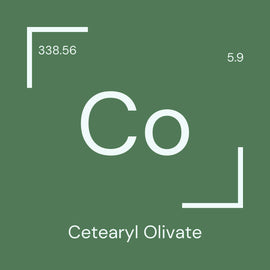 Alyscamps原材料用語集 「Co」