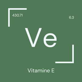 Alyscamps原材料用語集 「Ve」