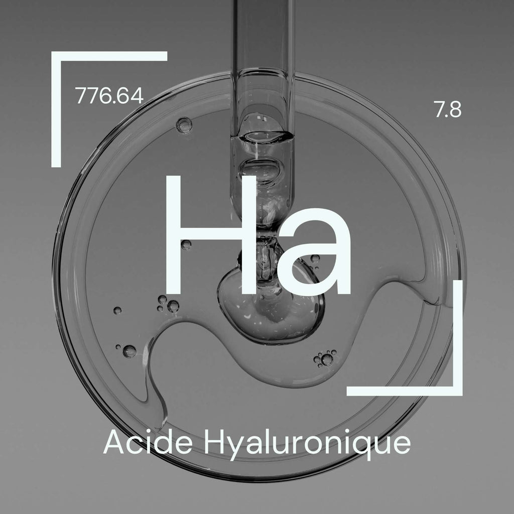 Alyscamps原材料用語集 「Ha」